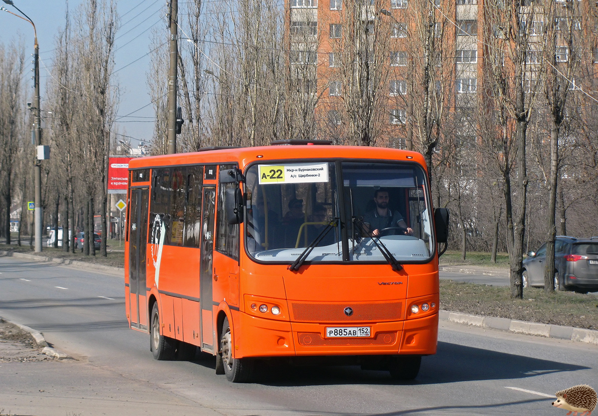 Нижегородская область, ПАЗ-320414-04 "Вектор" № Р 885 АВ 152