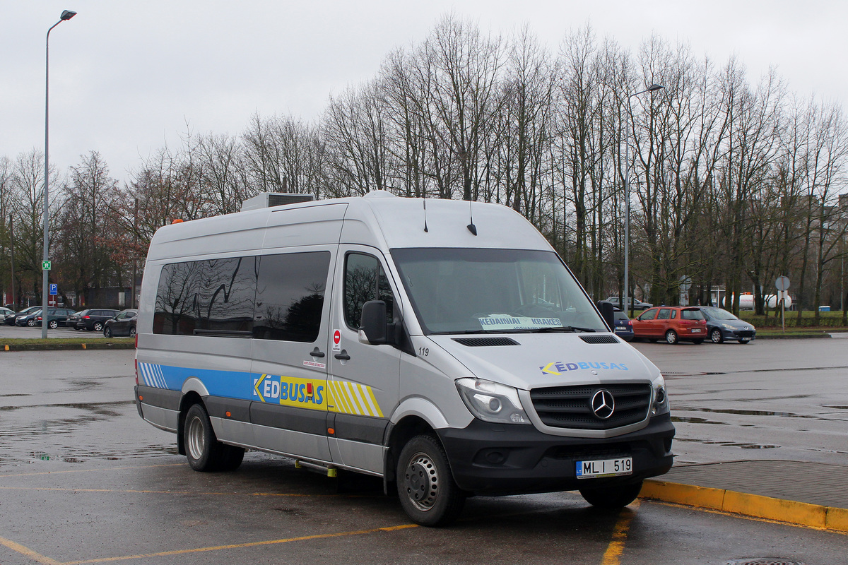Литва, Mercedes-Benz Sprinter Transfer 45 № 119