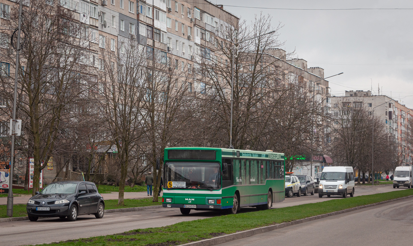 Кировоградская область, MAN A10 NL202 № BA 2445 EH