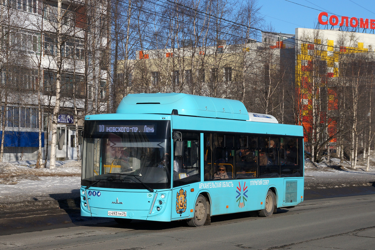 Архангельская область, МАЗ-206.948 № О 493 ТМ 29