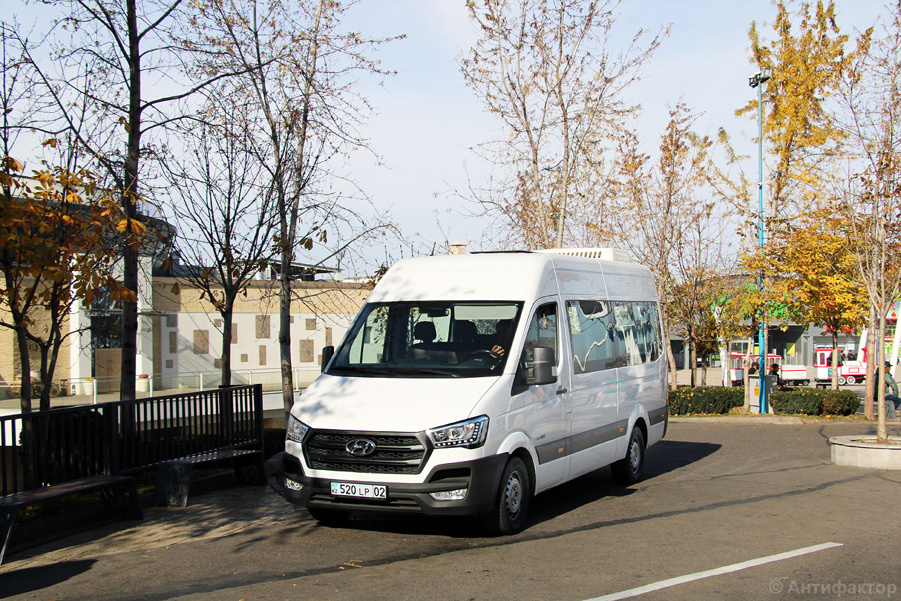 Алматы, Hyundai H350 (Hyundai Trans Auto) № 520 LP 02