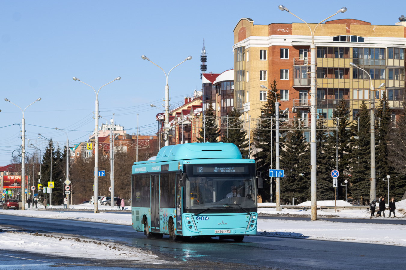 Архангельская область, МАЗ-206.948 № О 464 ТМ 29