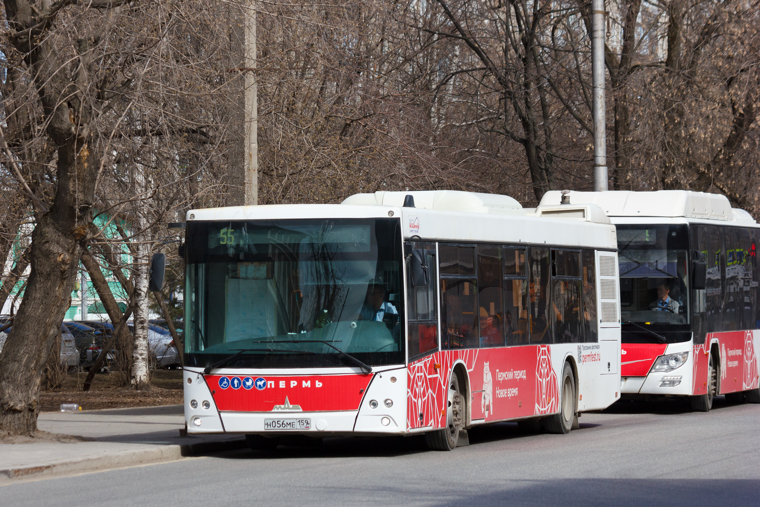 Пермский край, МАЗ-203.016 № Н 056 МЕ 159 Пермский край, МАЗ-203.016 № Н 056 МЕ 159