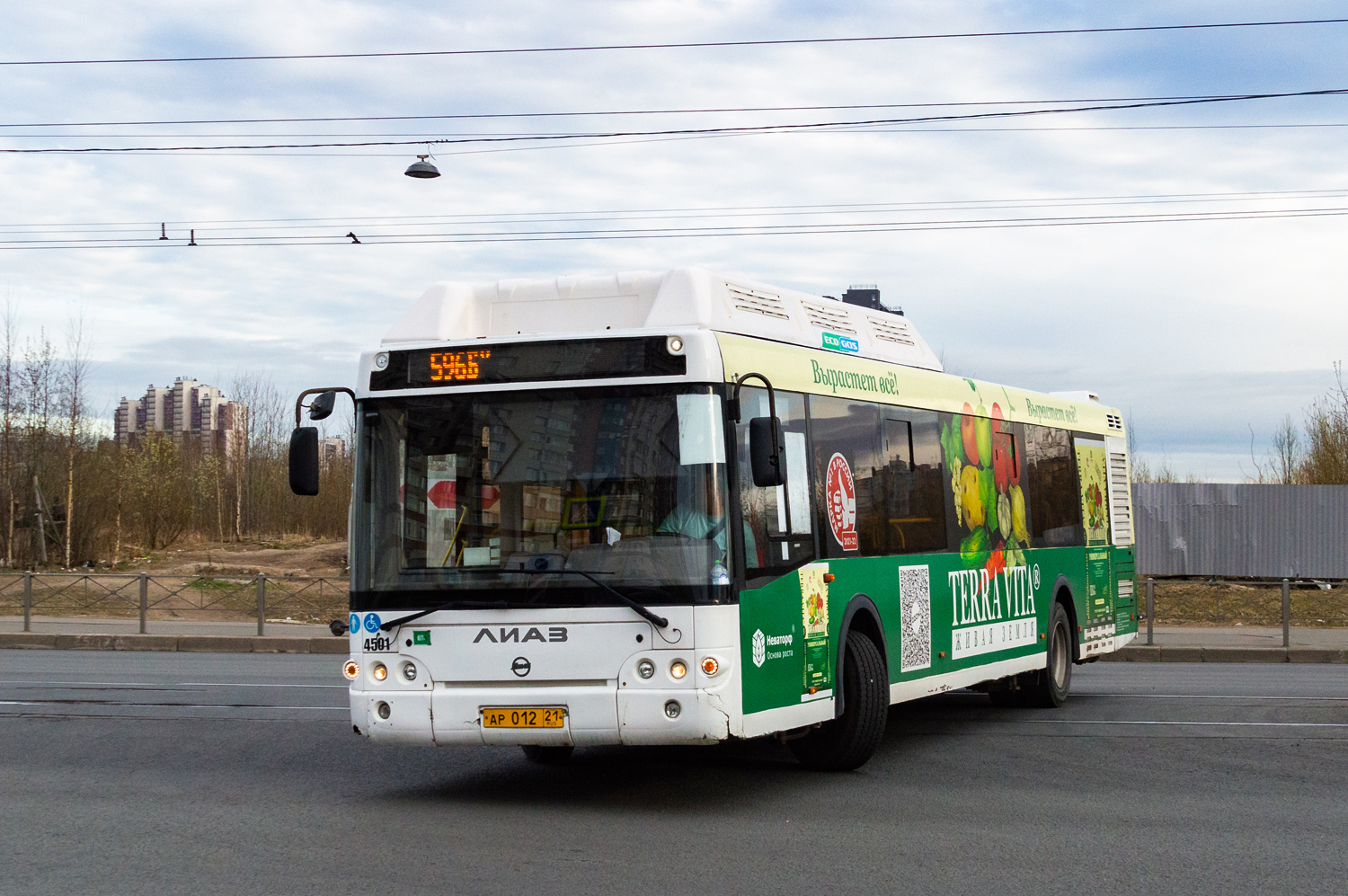 596б. лиаз 5292. автобус 596б кудрово. новые автобусы спб. автобус 596б кудрово.