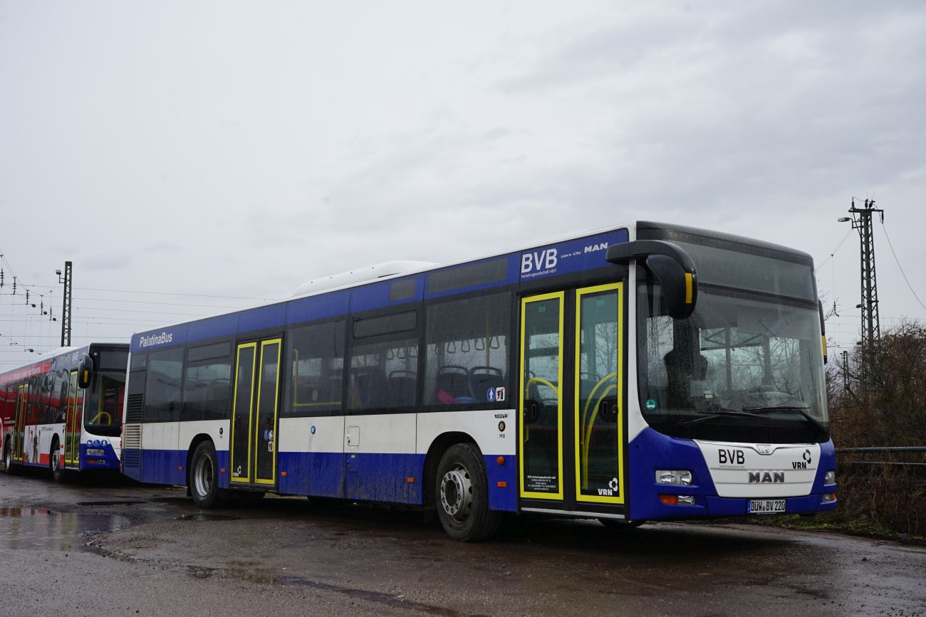Рейнланд-Пфальц, MAN A21 Lion's City NL283 № DÜW-BV 220