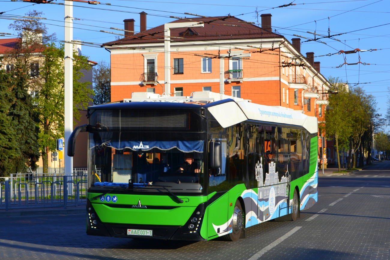 Брестская область, МАЗ-303.E10 № 457