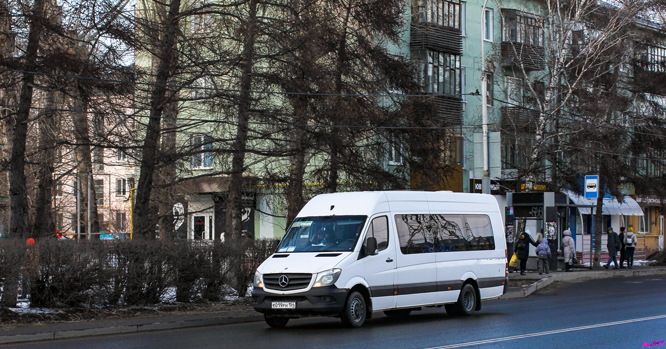 Новосибирская область, Луидор-22360C (MB Sprinter) № Е 019 РН 154