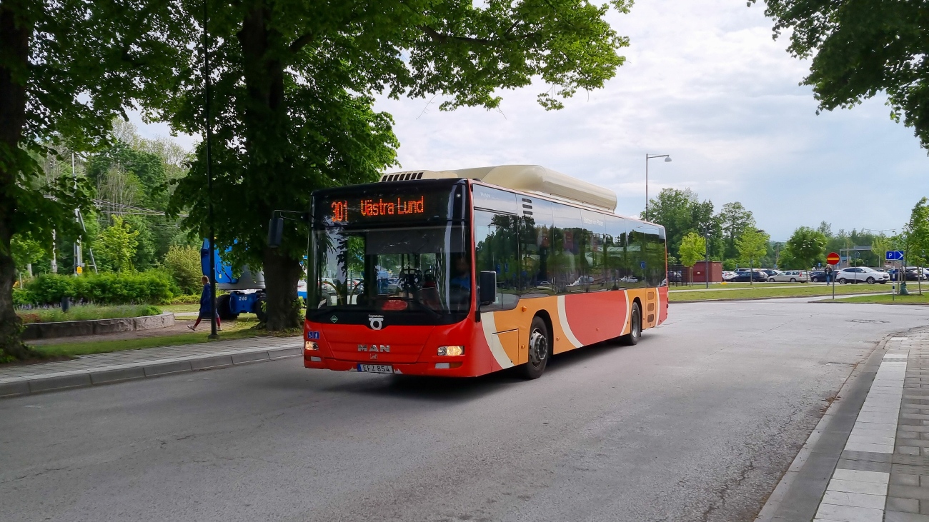 Швеция, MAN A21 Lion's City NL313 CNG № 8201
