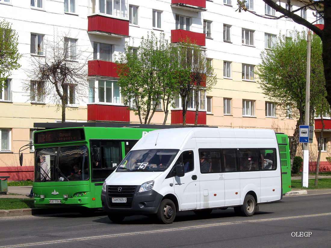 Витебская область, ГАЗ-A65R52 Next № АМ 7605-2