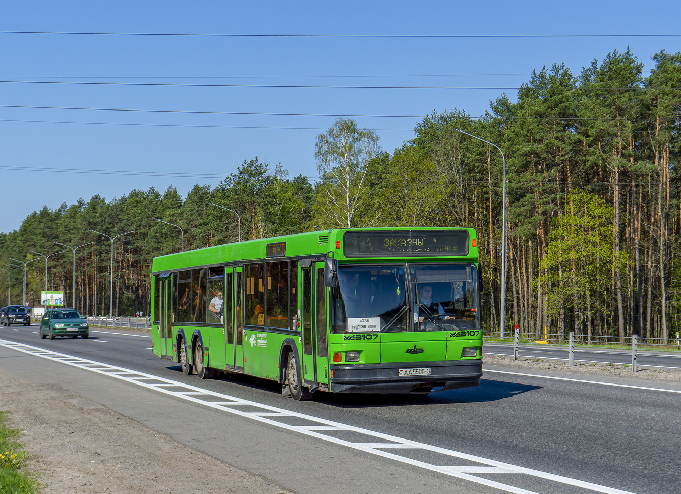 Гомельская область, МАЗ-107.065 № 11673