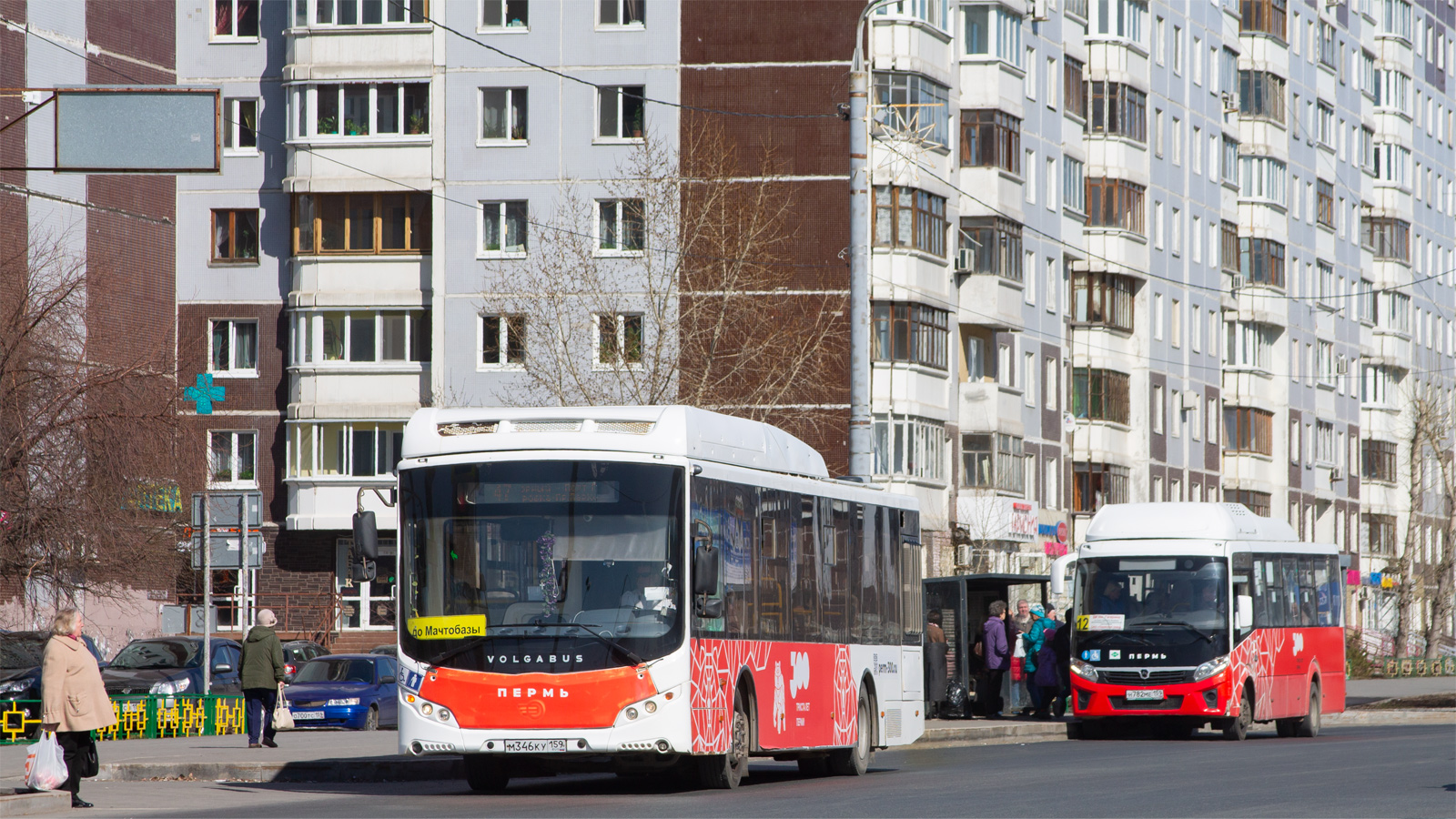 Пермский край, Volgabus-5270.G2 (CNG) № М 346 КУ 159