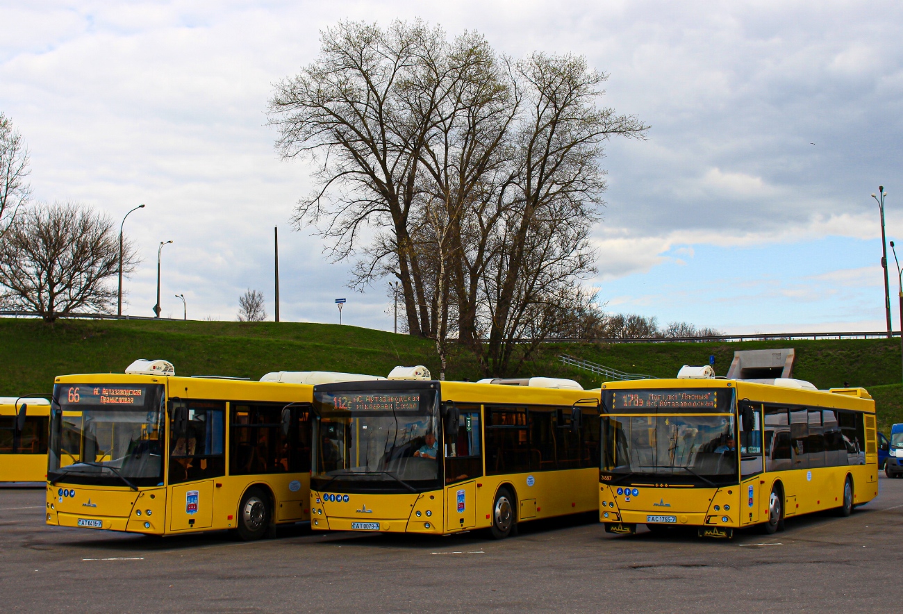 Минск, МАЗ-203.069 № 024597