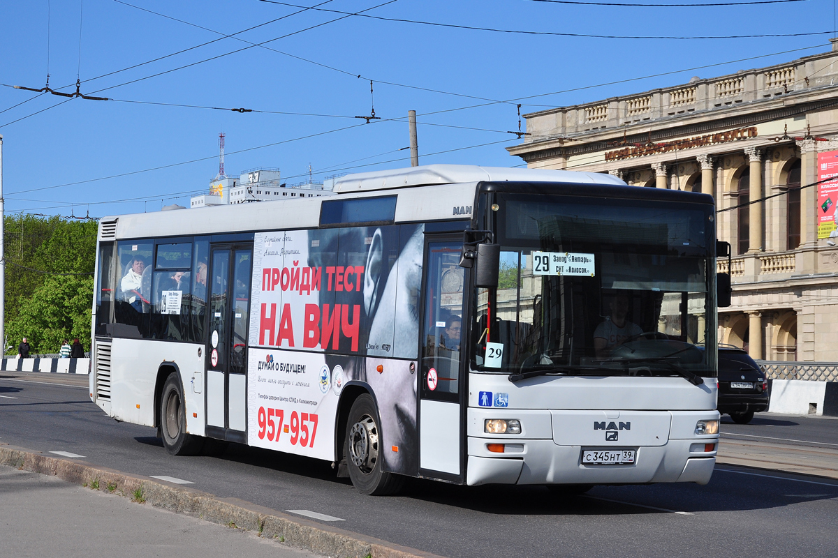 Kaliningrad region, MAN A78 Lion's City TÜ EL283 # С 345 НТ 39