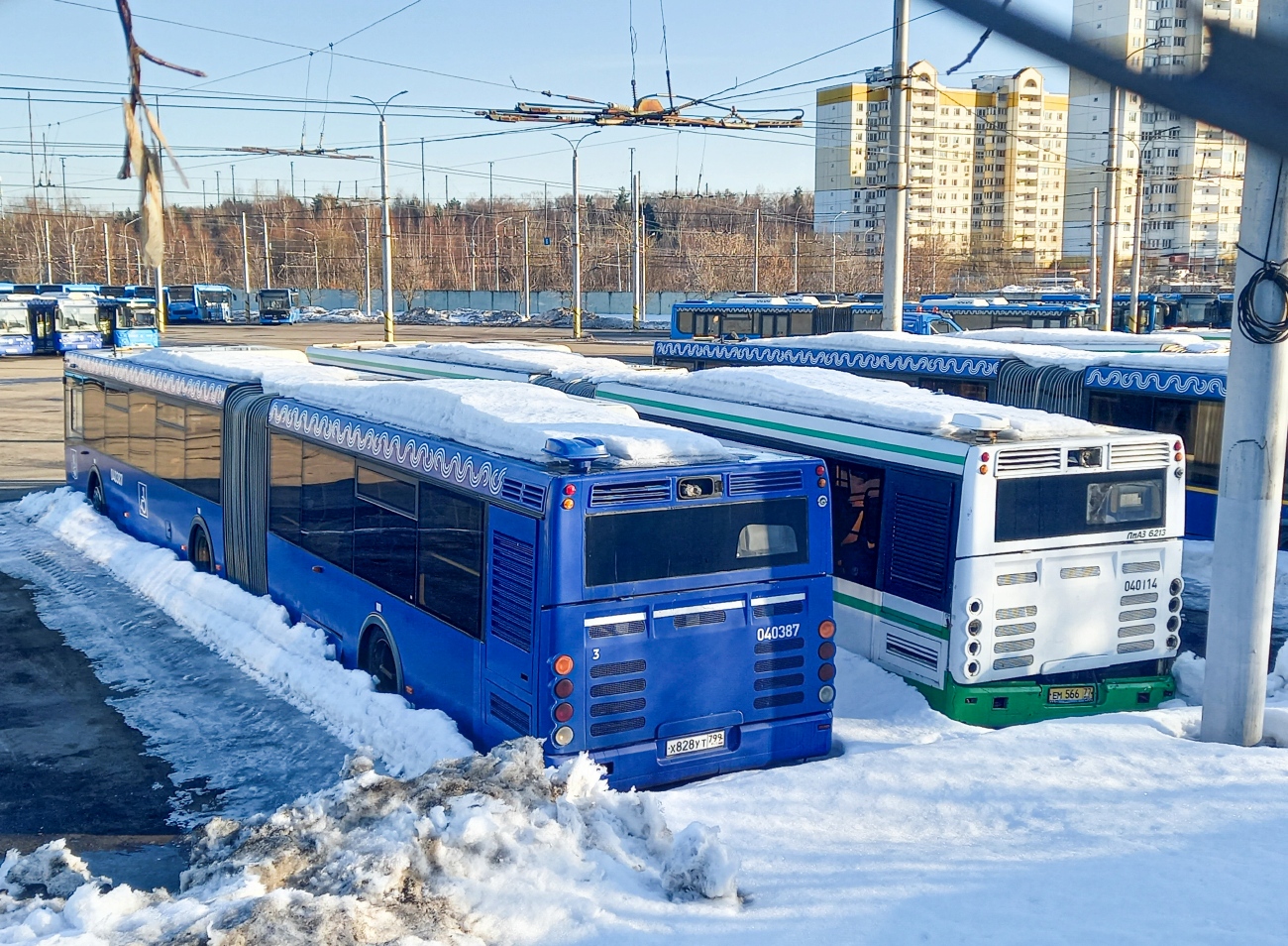 Москва, ЛиАЗ-6213.22 № 040387