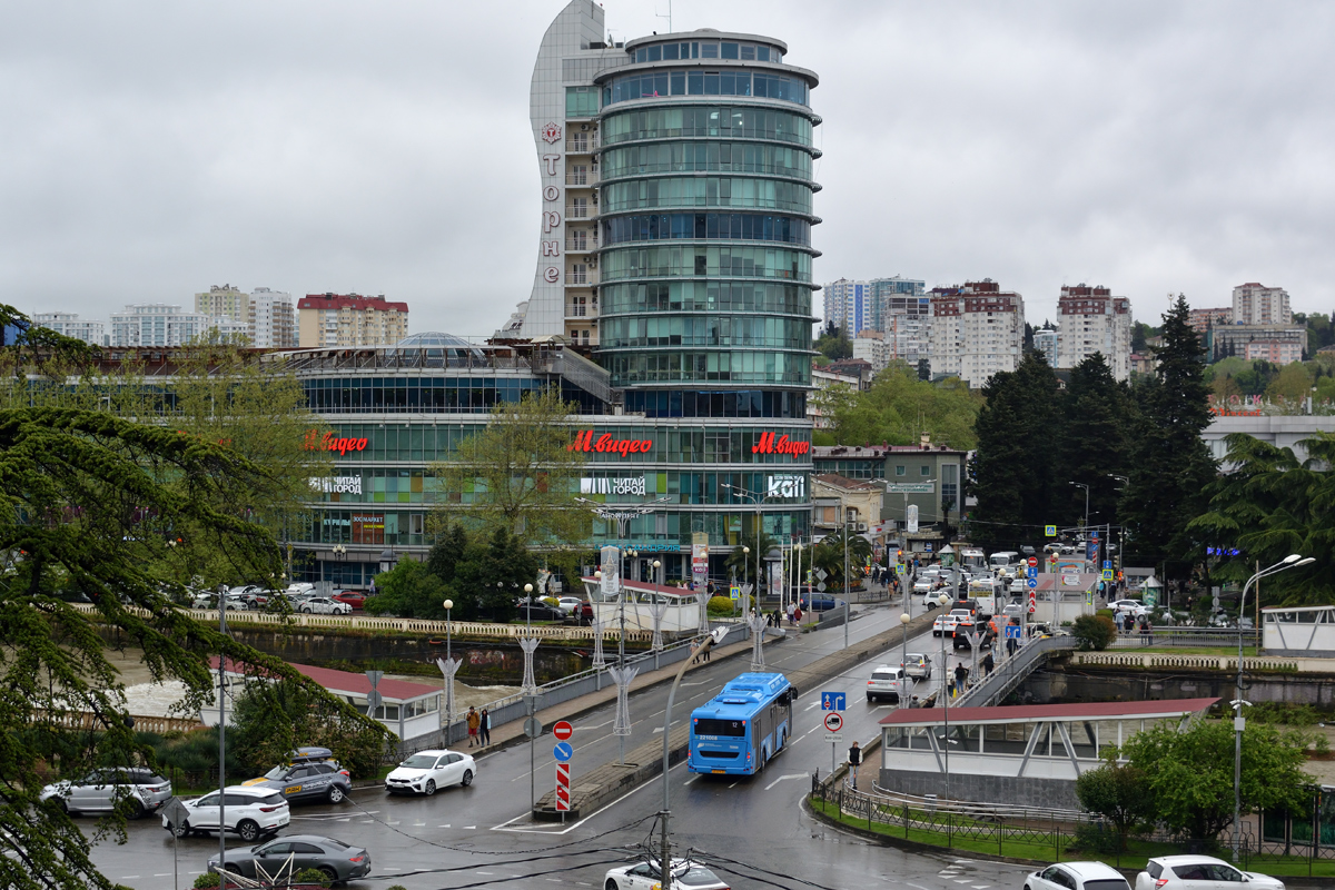 Краснодарский край, ЛиАЗ-5292.67 (CNG) № 221008; Краснодарский край — Разные фотографии