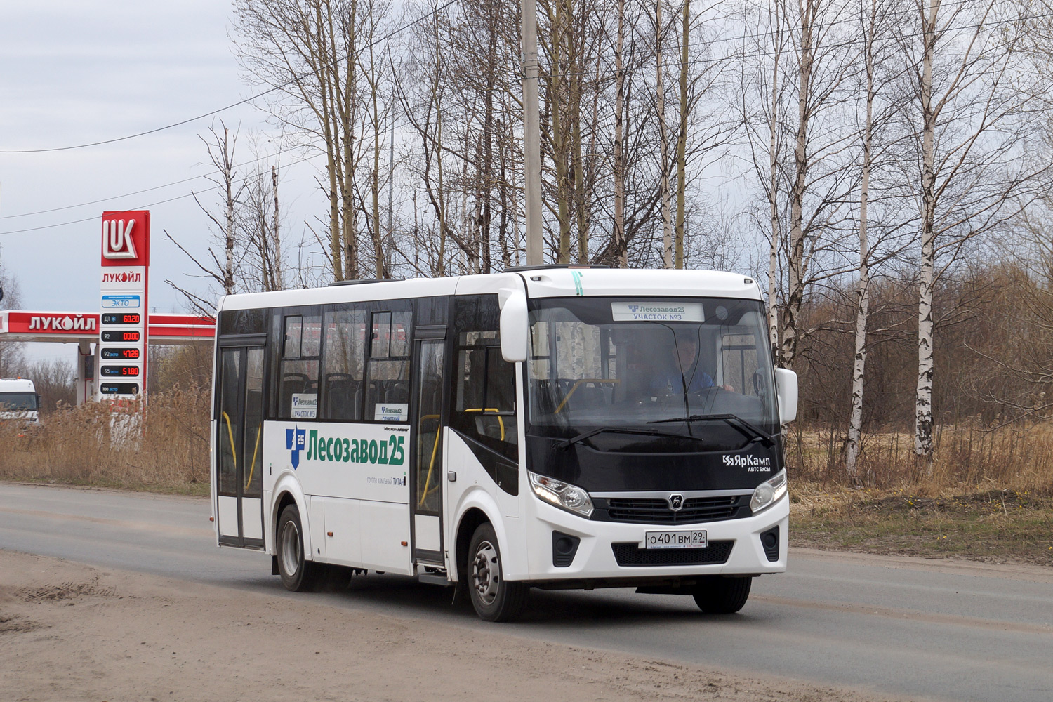Архангельская область, ПАЗ-320425-04 "Vector Next" № О 401 ВМ 29