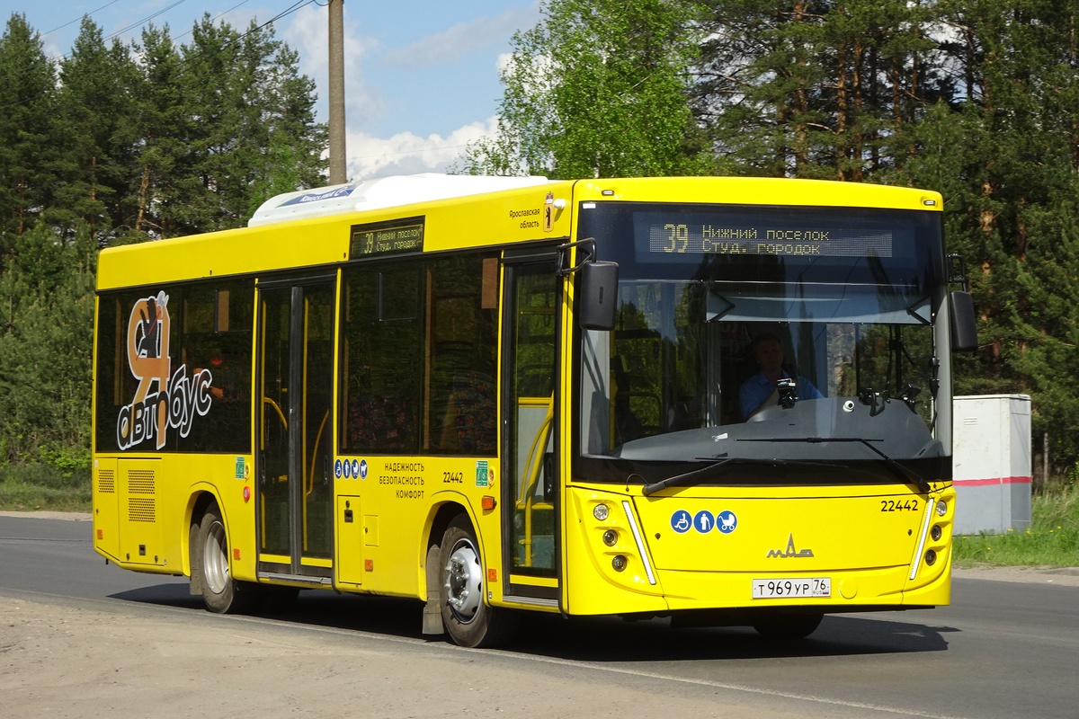 Ярославская область, МАЗ-206.047 № 22442