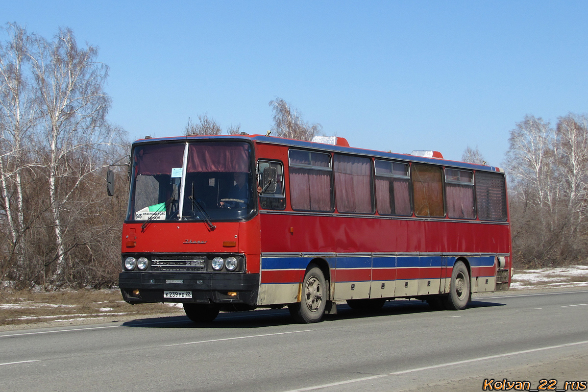 Алтайский край, Ikarus 250.59 № К 239 РЕ 22