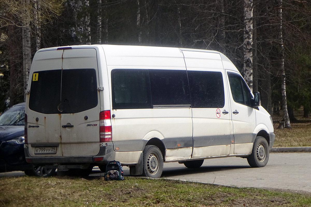 Архангельская область, Классикбус-90615 (MB Sprinter) № К 799 УУ 29
