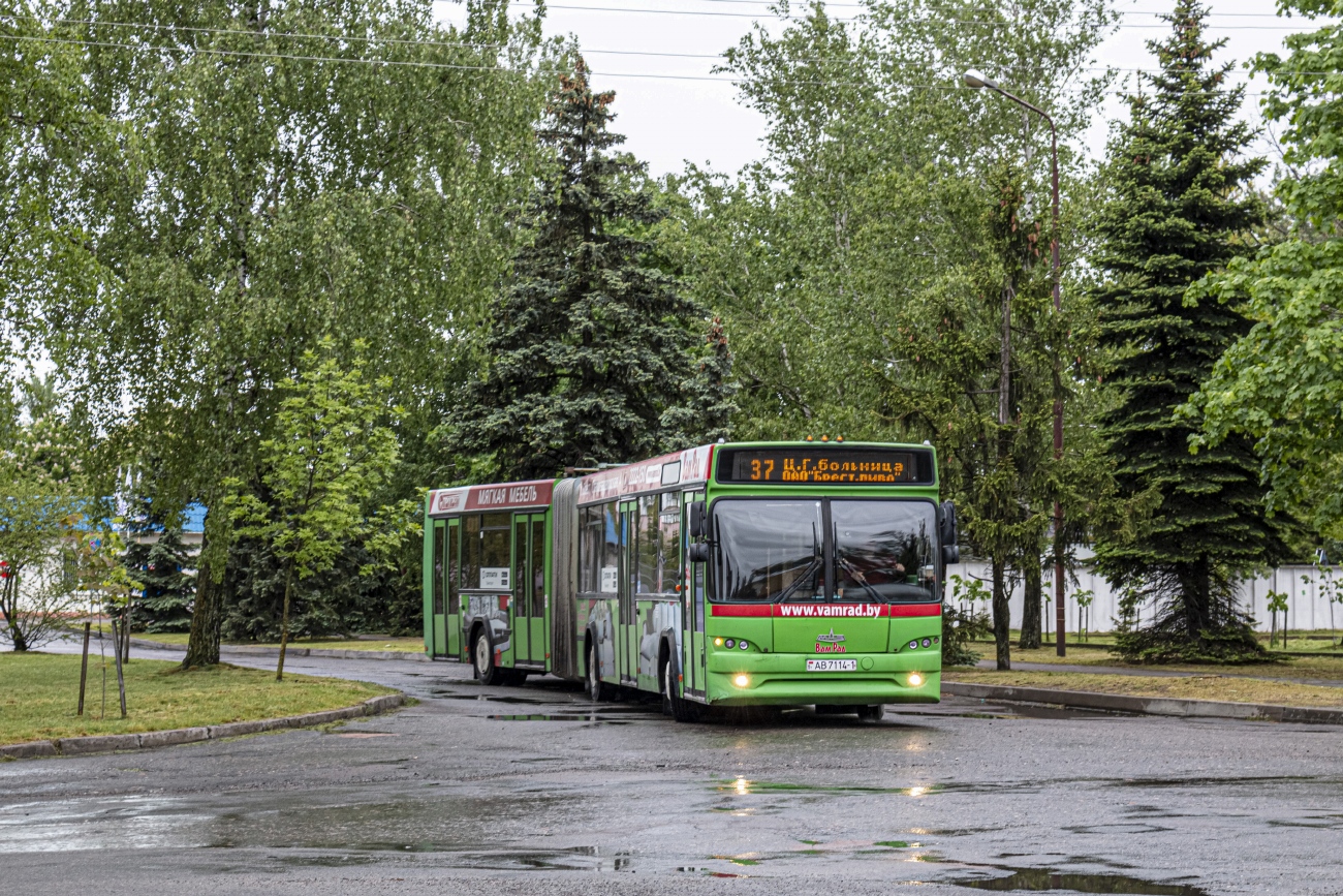 Brest region, MAZ-105.465 Nr. 123
