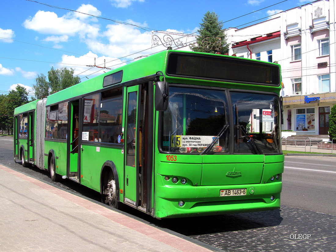 Могилёвская область, МАЗ-105.465 № 1053