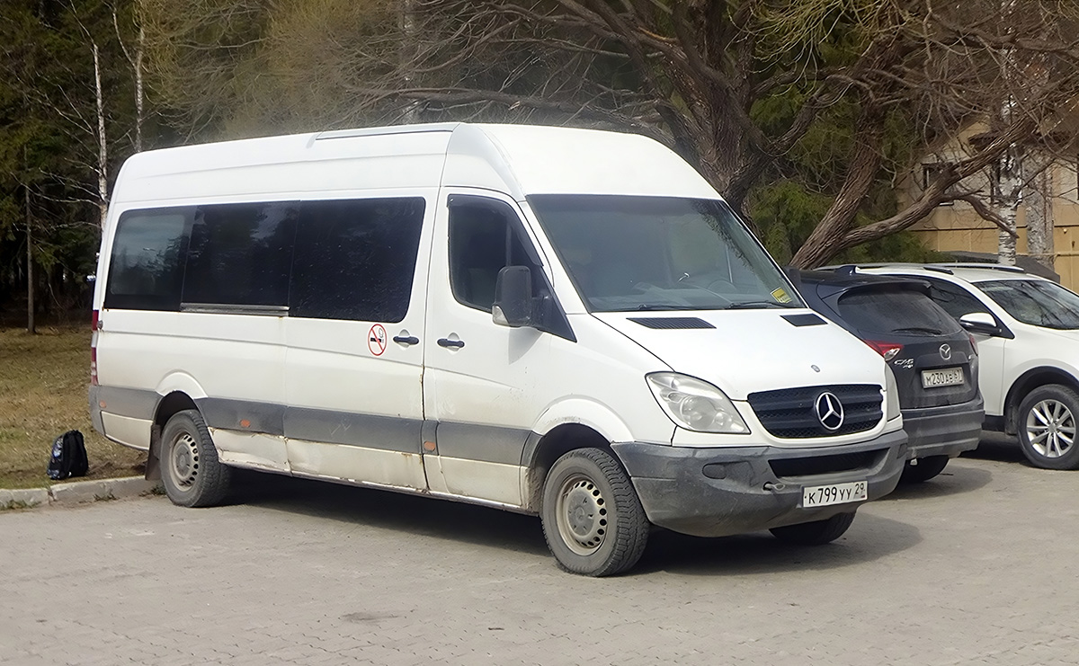 Архангельская область, Классикбус-90615 (MB Sprinter) № К 799 УУ 29