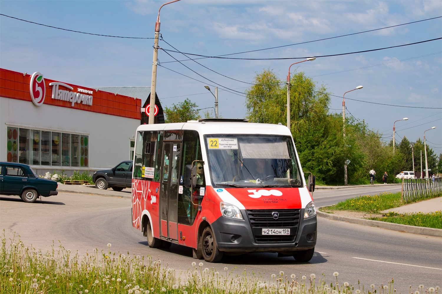 Пермский край, Луидор-2250DS (ГАЗ Next) № Н 214 ОН 159