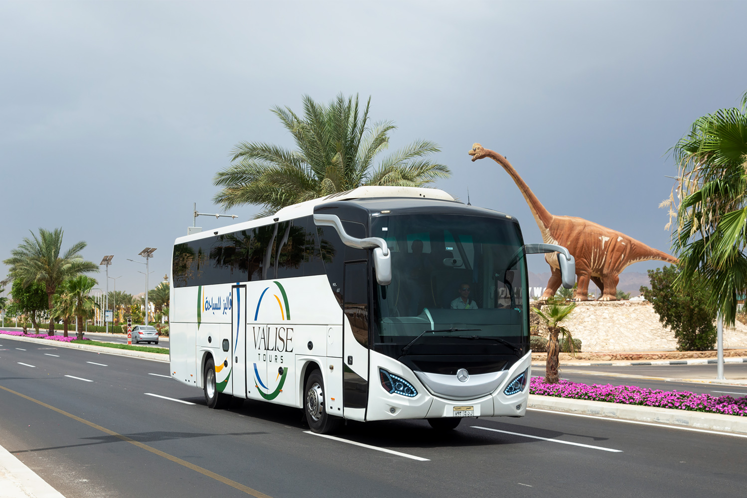 Египет, MCV 600 NF № 893 GNL