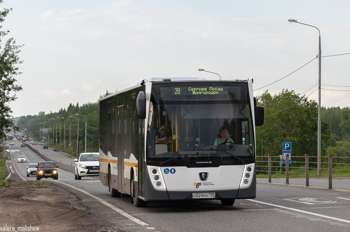 Moscow region, NefAZ-5299-31-52 # 107524