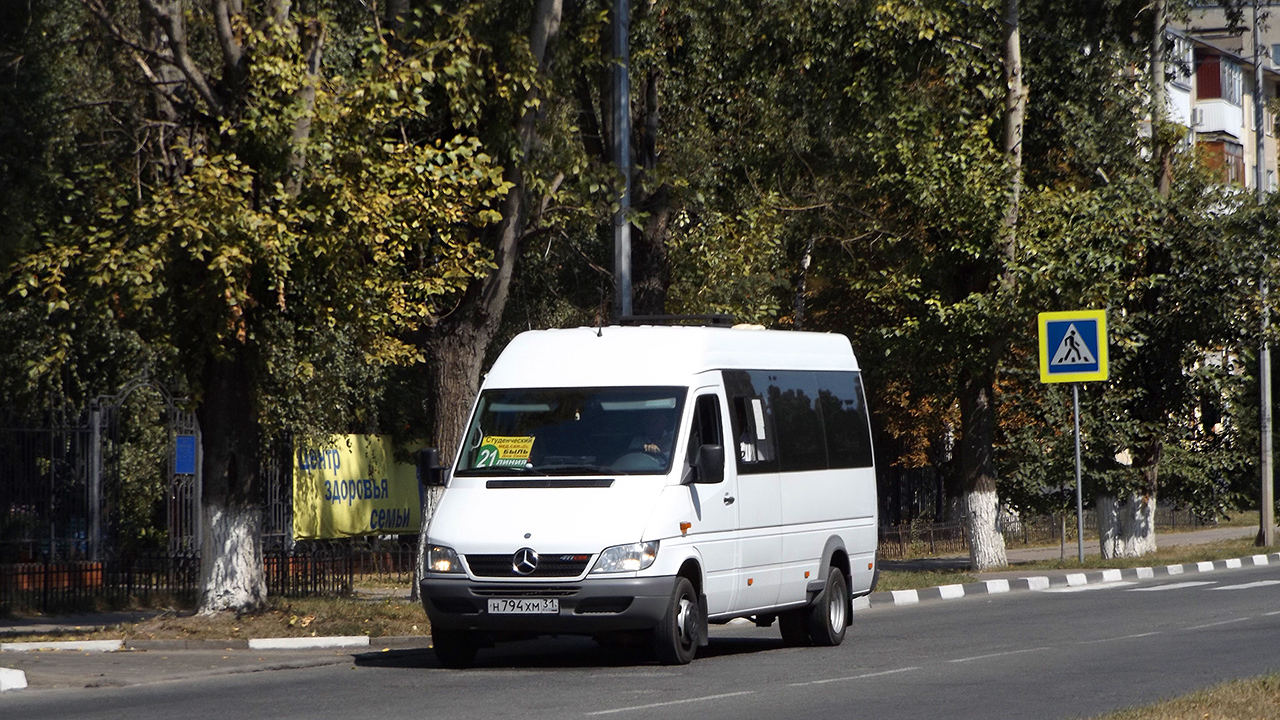 Белгородская область, Луидор-223201 (MB Sprinter Classic) № Н 794 ХМ 31