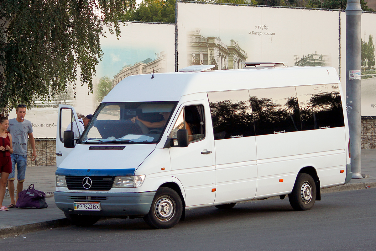 Запорожская область, Mercedes-Benz Sprinter W903 310D № AP 7823 BX
