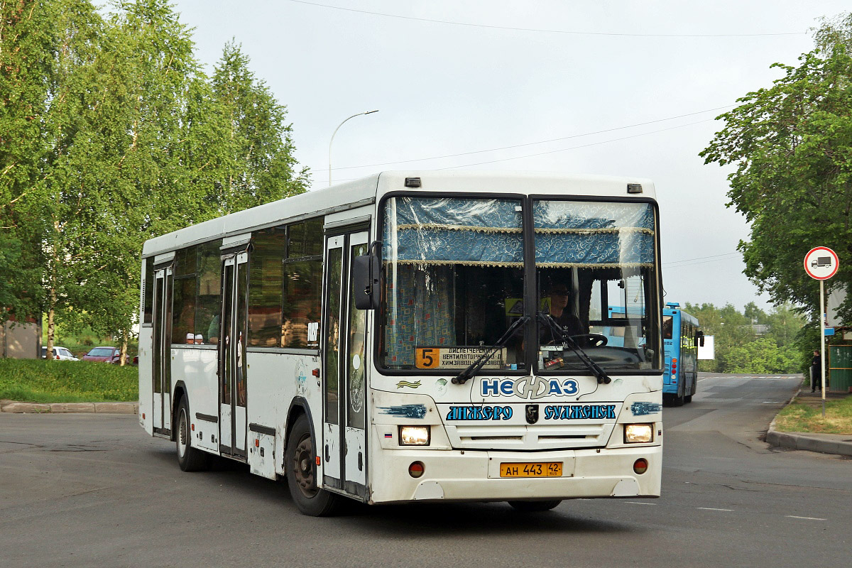 Кемеровская область - Кузбасс, НефАЗ-5299-10-15 № 48