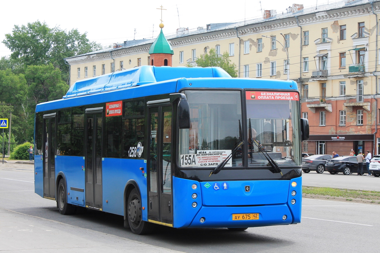 Кемеровская область - Кузбасс, НефАЗ-5299-30-51 № 258