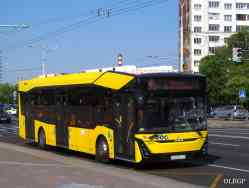 305 КБ