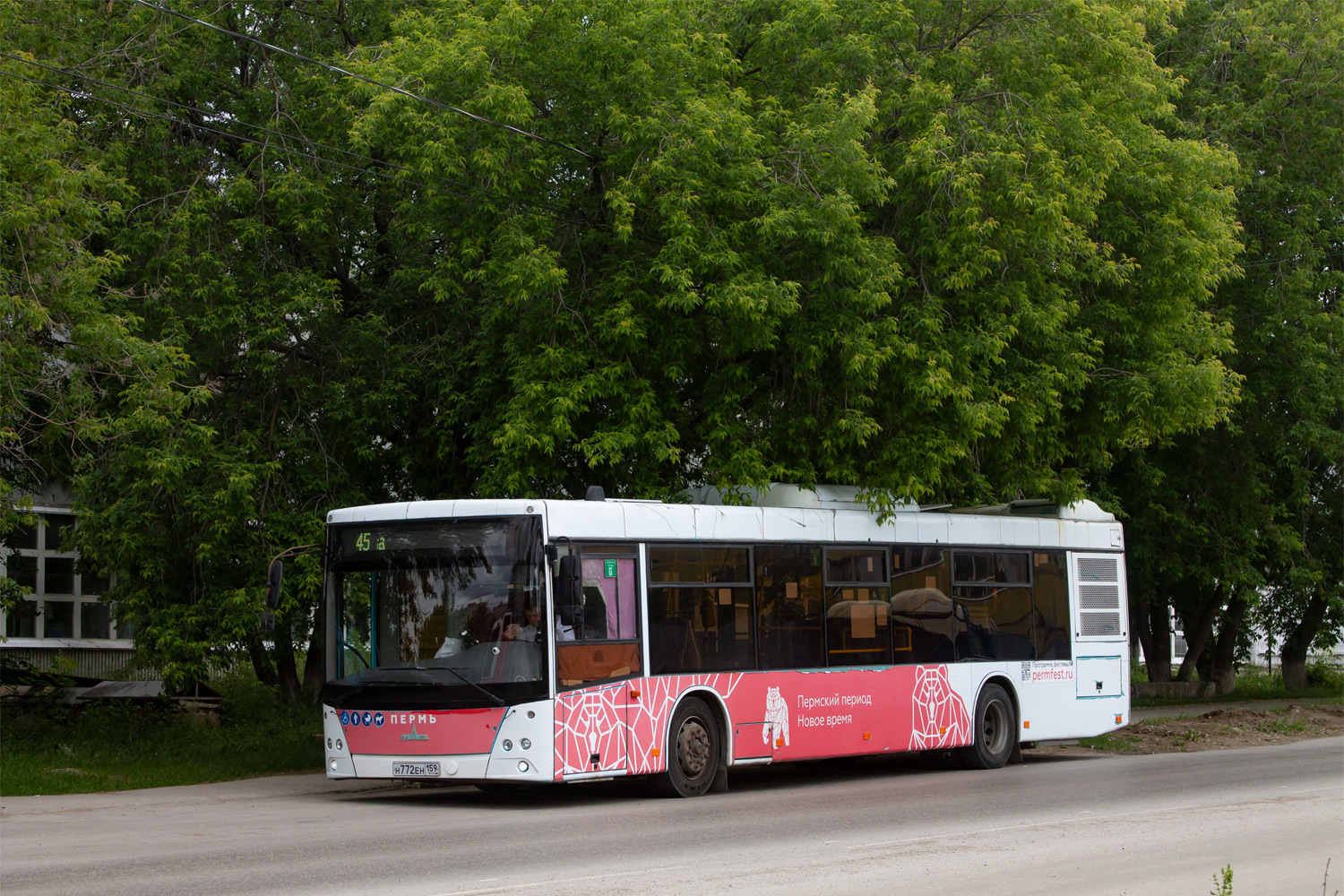 Пермский край, МАЗ-203.016 № Н 772 ЕН 159