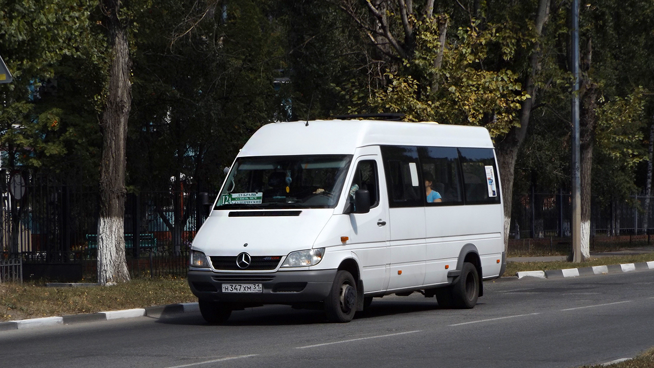 Белгородская область, Луидор-223201 (MB Sprinter Classic) № Н 347 ХМ 31