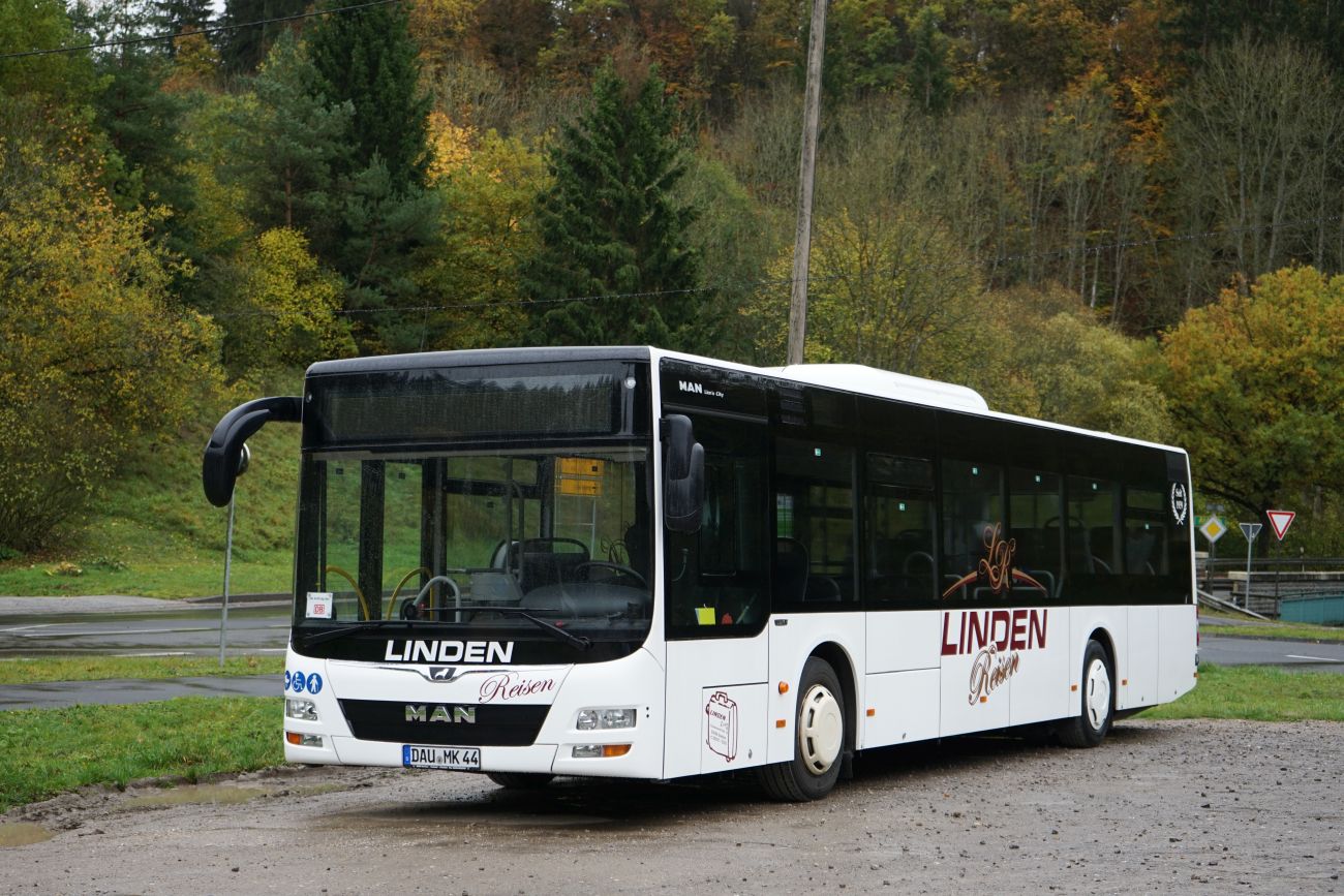 Рейнланд-Пфальц, MAN A21 Lion's City NL*** № DAU-MK 44