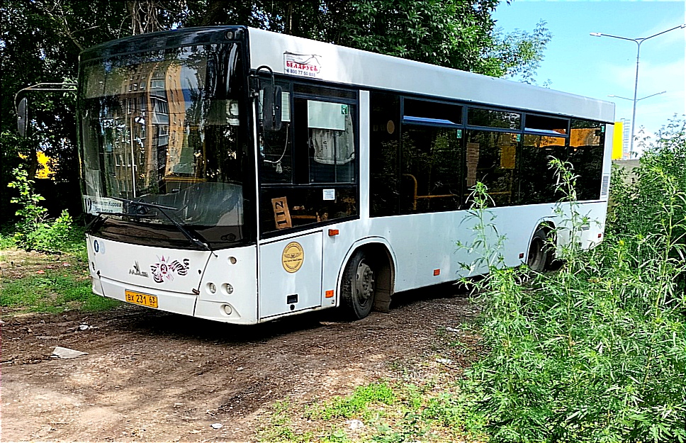 Самарская область, МАЗ-206.085 № ВХ 231 63