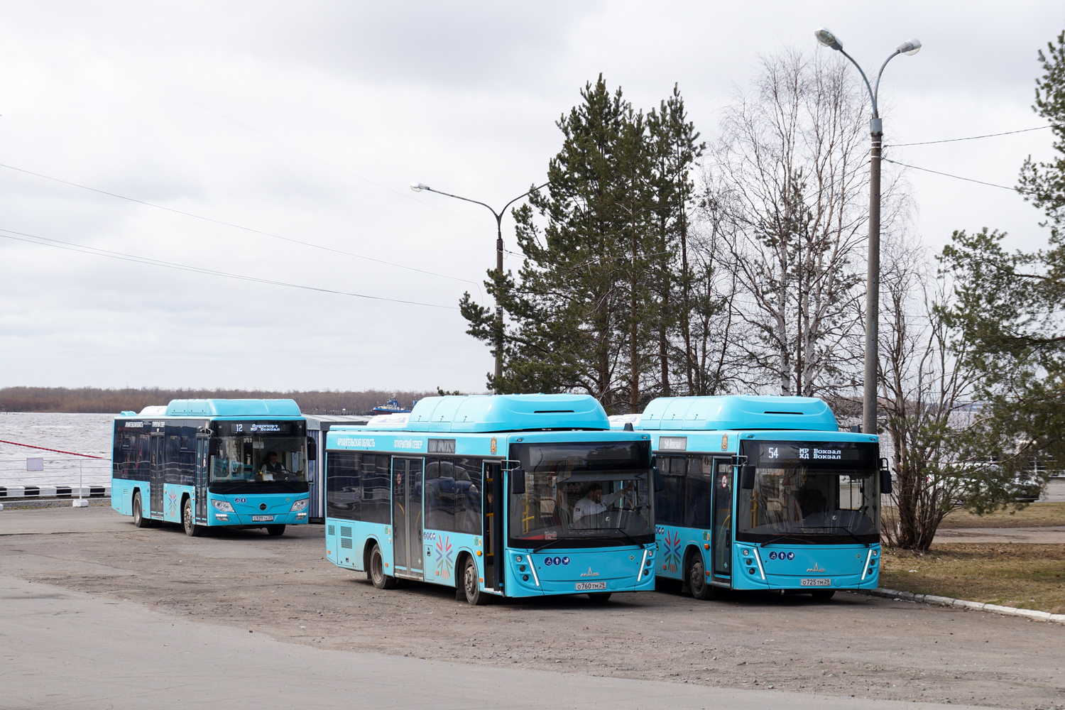 Архангельская область, МАЗ-206.948 № О 760 ТМ 29