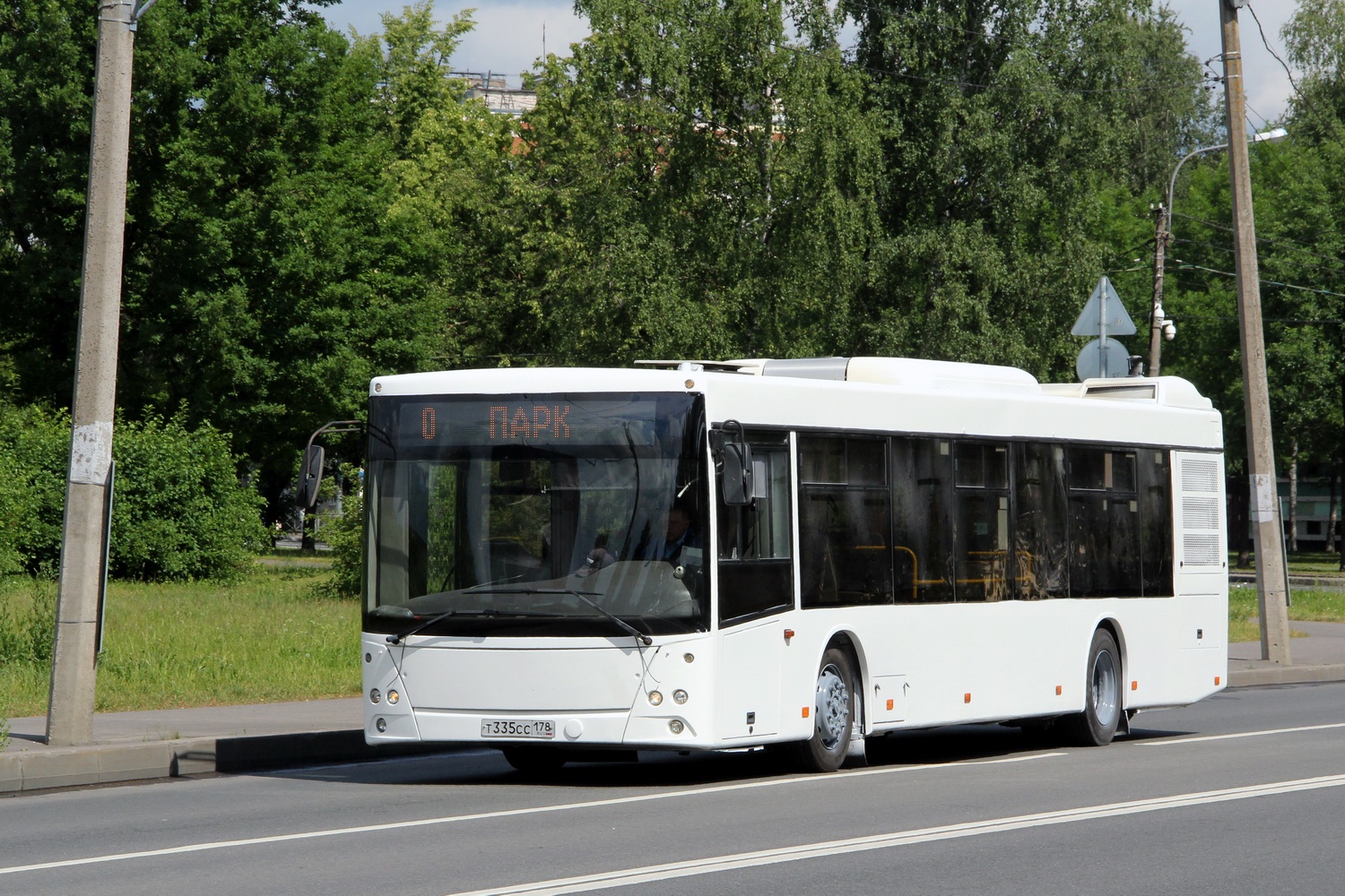 Санкт-Петербург, МАЗ-203.085 № 8215