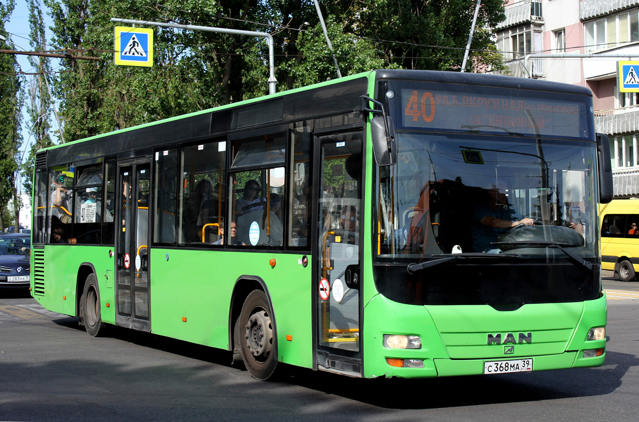 Калининградская область, MAN A78 Lion's City LE Ü EL263 № С 368 МА 39