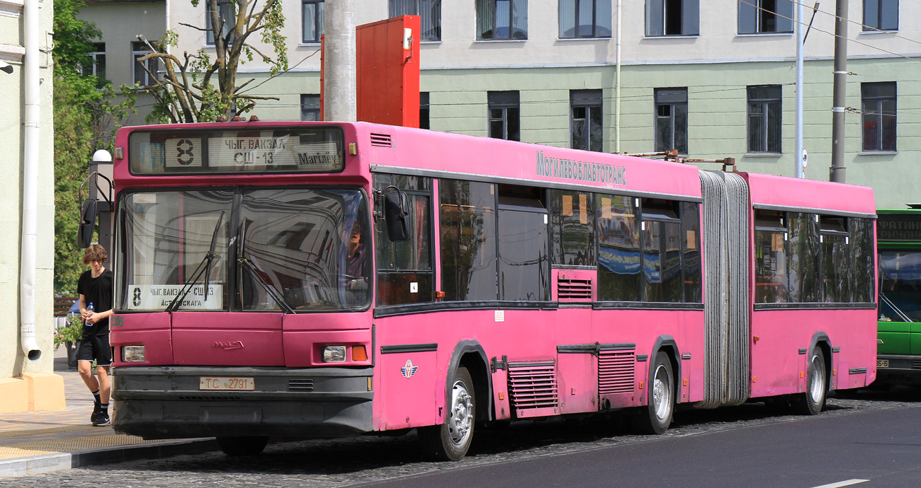 Могилёвская область, МАЗ-105.060 № 2395