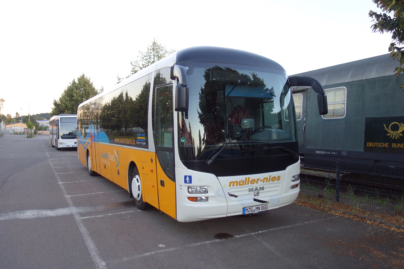 Саар, MAN R12 Lion's Regio ÜL354 № MZG-MN 800