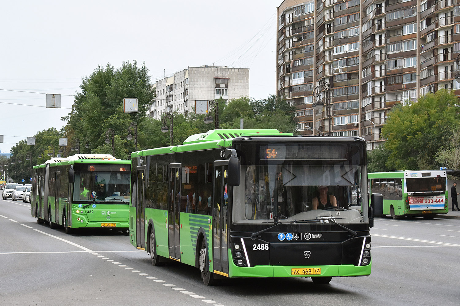 Tumen region, LiAZ-5292.65 # 2466