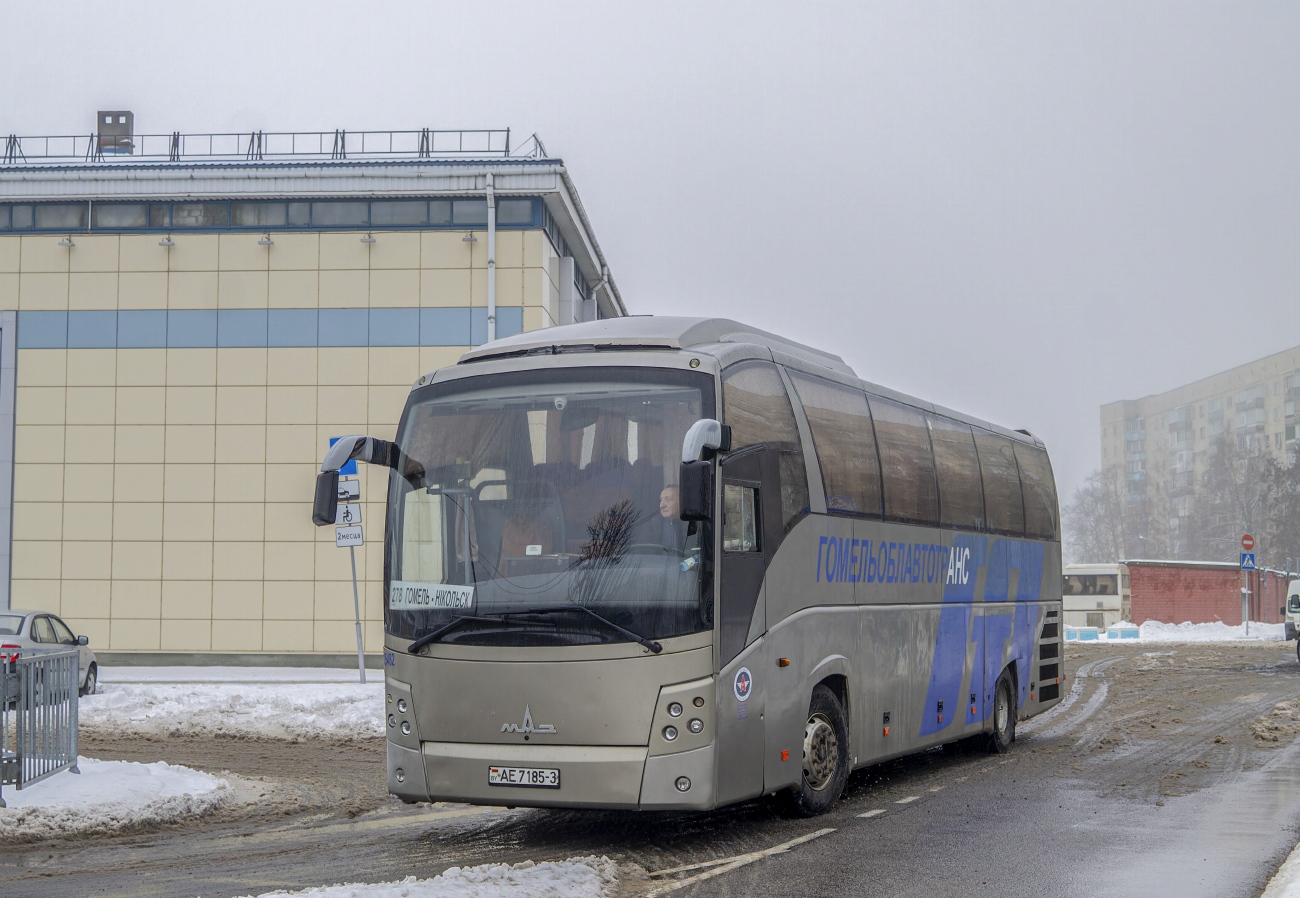 Гомельская область, МАЗ-251.050 № 015482