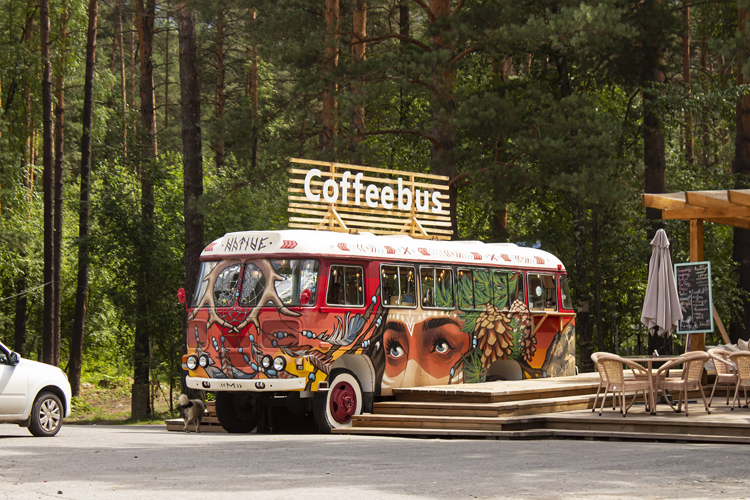 Алтай, ПАЗ-3201С, 320101 № У 213 АА 04