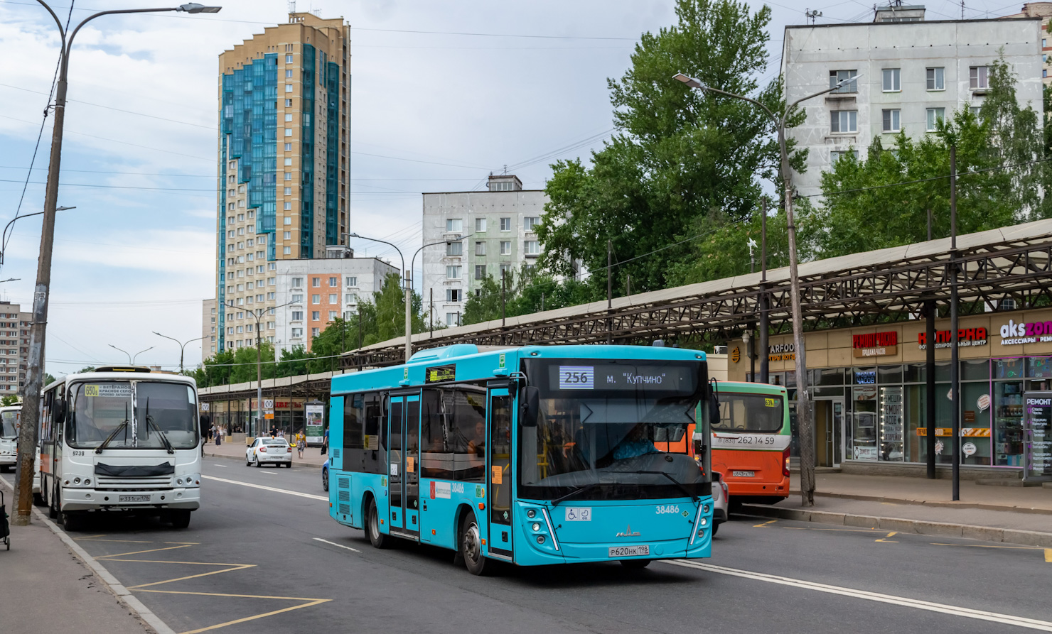 Ленинградская область, ПАЗ-320402-05 № 9004; Санкт-Петербург, МАЗ-206.947 № 38486