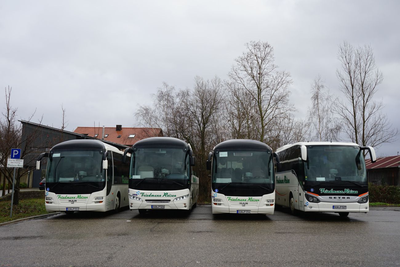 Rajna-Pfalz, Neoplan P26 Jetliner sz.: SÜW-P 524; Rajna-Pfalz, MAN R12 Lion's Regio ÜL314 sz.: SÜW-P 154