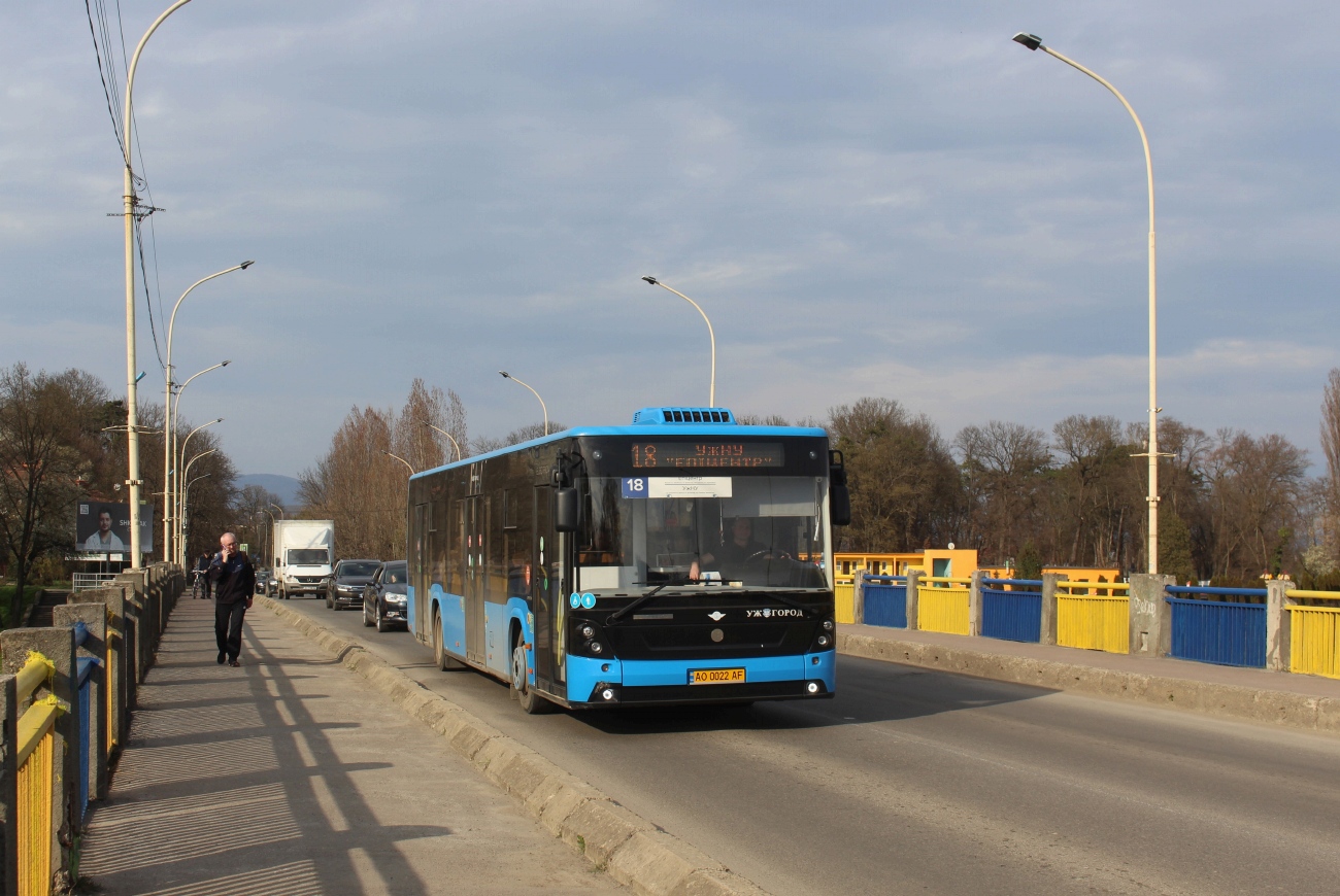 Закарпатская область, Електрон A18501 № 017
