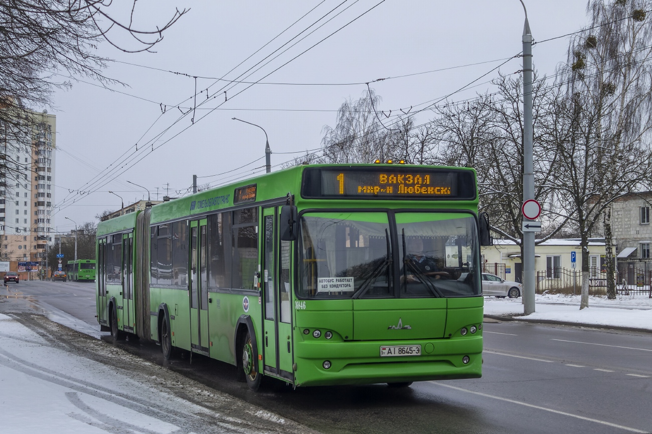 Гомельская область, МАЗ-105.465 № 036846